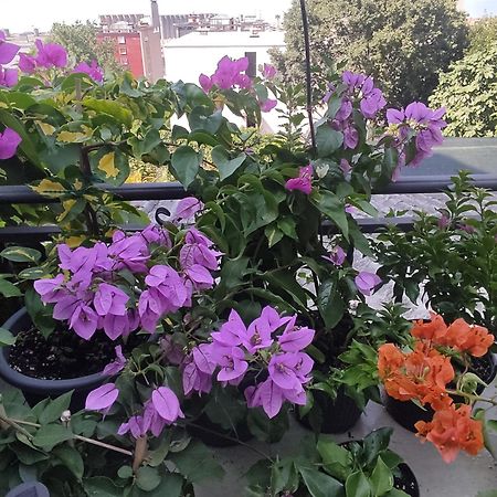 Apartman Bella Vista Rijeka Apartment ภายนอก รูปภาพ