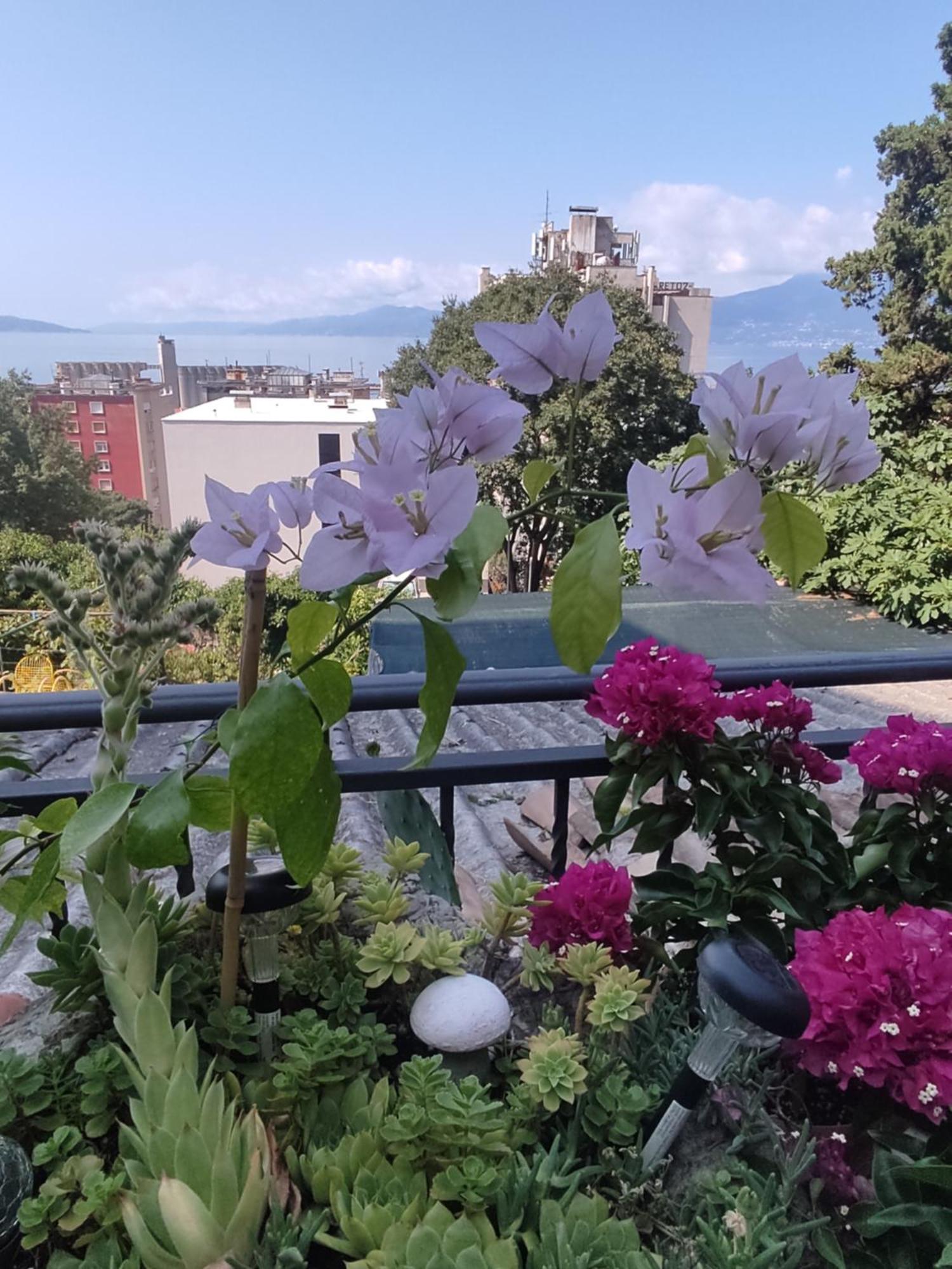 Apartman Bella Vista Rijeka Apartment ภายนอก รูปภาพ