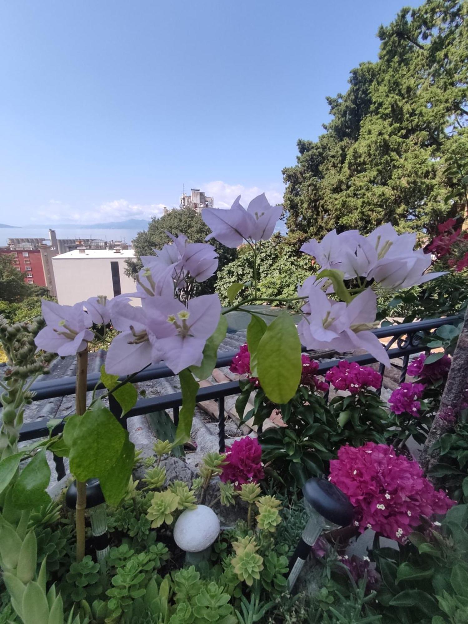 Apartman Bella Vista Rijeka Apartment ภายนอก รูปภาพ