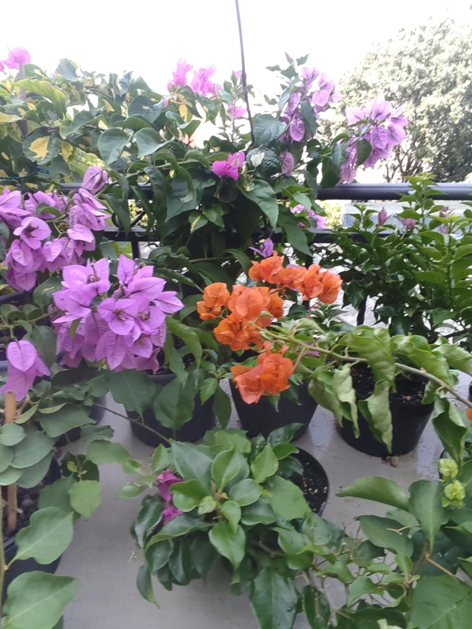 Apartman Bella Vista Rijeka Apartment ภายนอก รูปภาพ